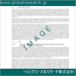 グローバルリサーチ調査資料のイメージ